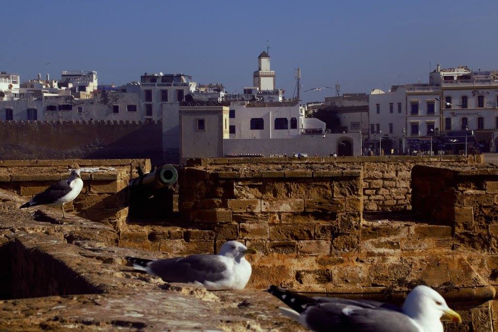 Essaouira Day Trip